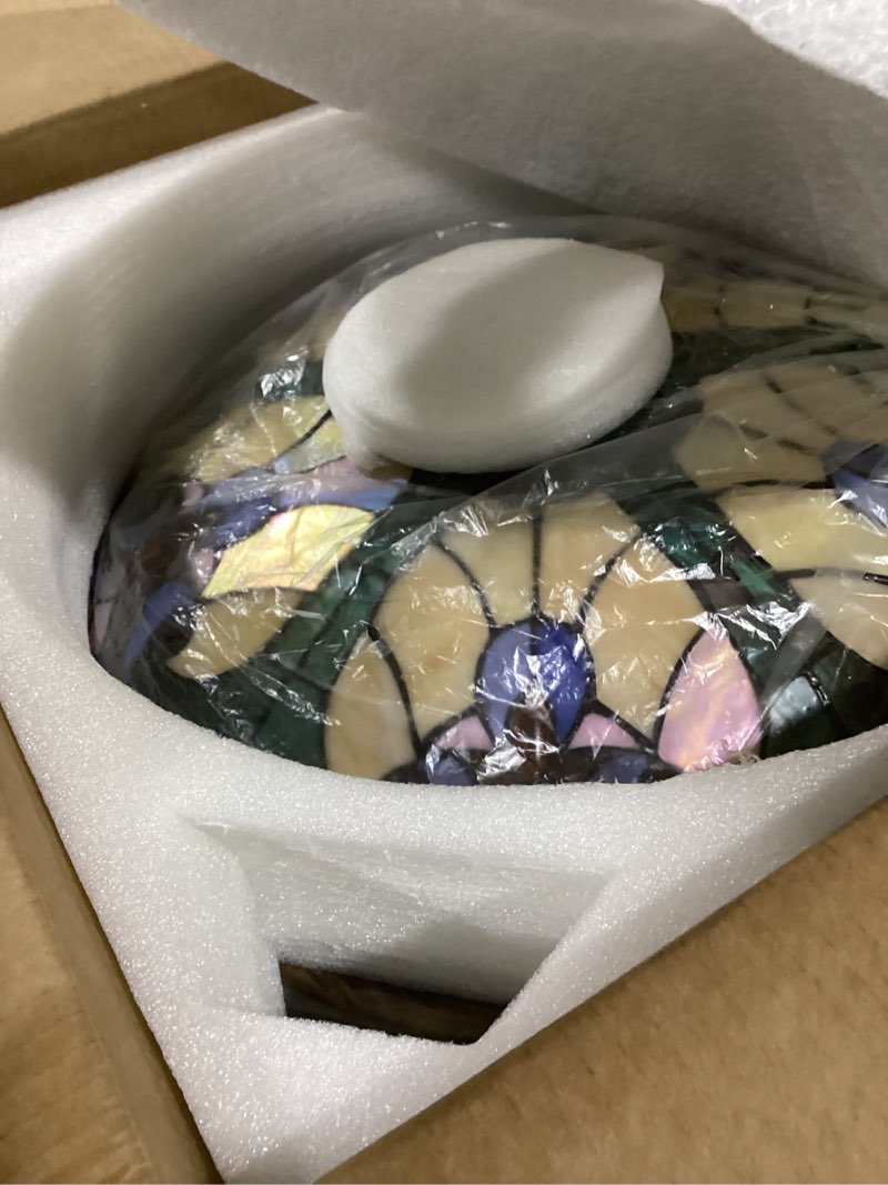 Condition photo showing Good Condition for ceiling fan with lights