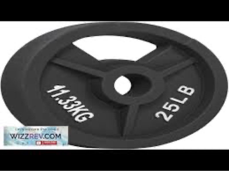 25lb/11.33kg cast iron weight plates 2 inch olympic strength training home gym se(2pcs)