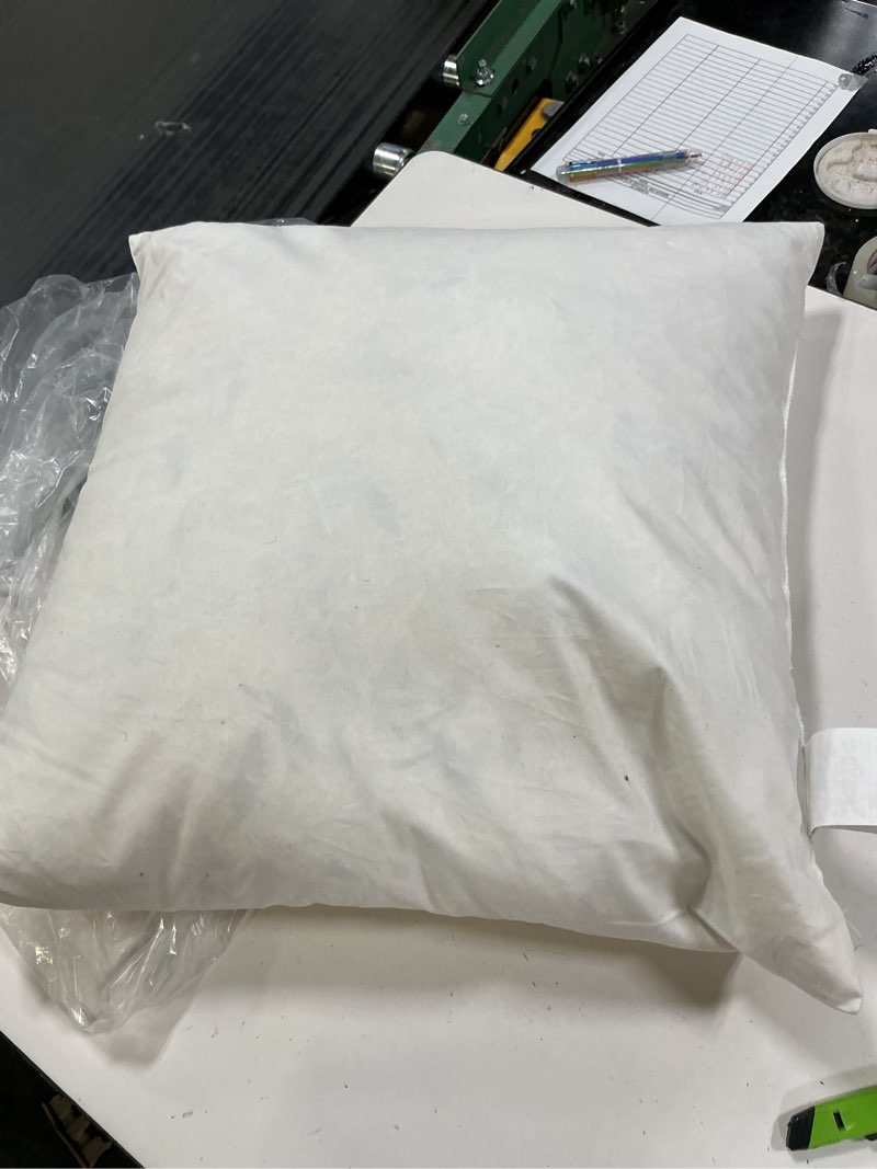 Condition photo showing Good Condition for premium feather pillow insert 20x20