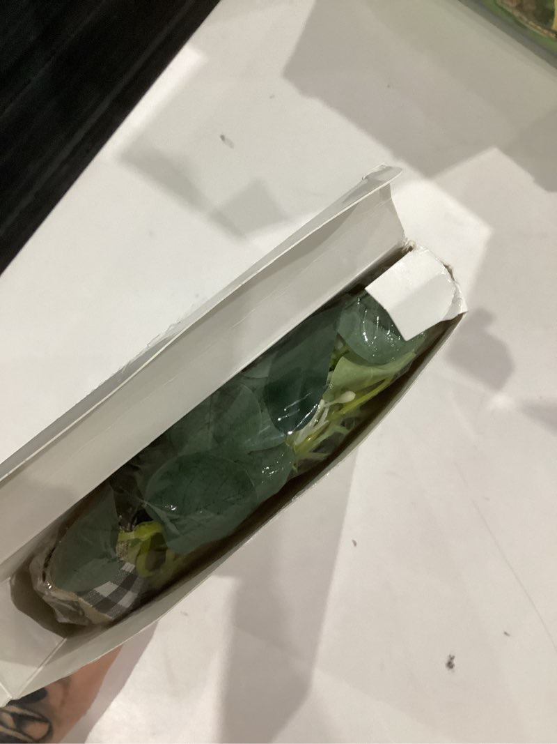 Condition photo showing New/Like New for Syhood 2 Pieces 9" Mini Eucalyptus Wreath Artificial Spring Summer Greenery Wreath for Front Door Farmhouse Kitchen Cabinet with Ribbon for Porch Wall Window Decor(Plaid Bow Style)