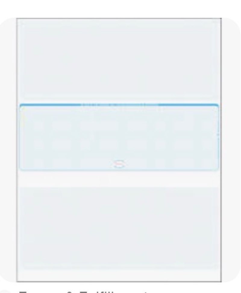 blank payroll checks 1000 count