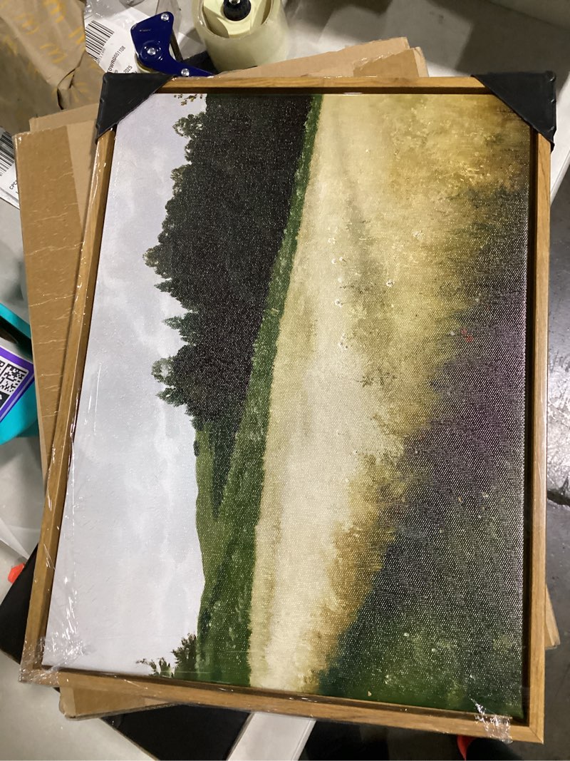 Condition photo showing Good Condition for KISSFOX Vintage Landscape Canvas Wall Art Nature Wildflower Field Scenery Prints Country Painting Picture Decor Artwork Rustic Farmhouse Gallery Office Living Room Bedroom Bathroom