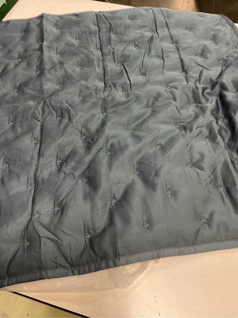 Condition photo showing Good Condition for quince, bamboo cover  pillow dream 27”x27” blue