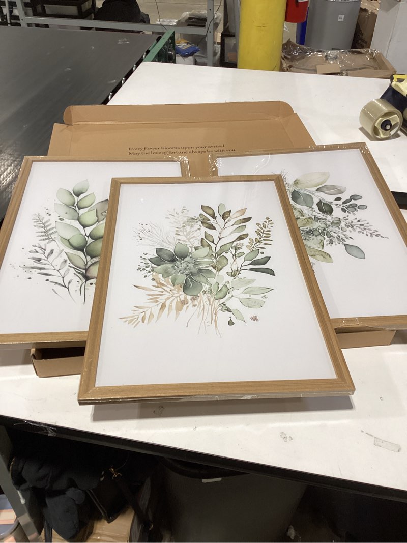 Condition photo showing Good Condition for FWAHREN 3 Piece Framed Vintage Botanical Floral Canvas Wall Art Set, Matisse Van Gogh William Morris Paintings, Large Pictures Prints Wall Decor for Living Room Bedroom Bathroom Office, 12x16in Art Masters Trio Framed 16L" x 12W"