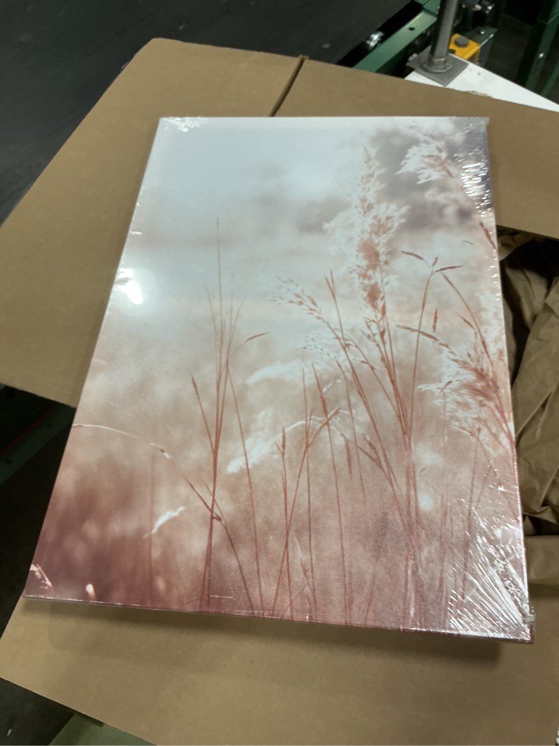 Condition photo showing New/Like New for lurenczh reed grass canvas wall art beige grass picture painting nature farmhouse plant decor artwork for living room bedroom decor framed(farmhouse-1,16.00" x 24.00") farmhouse-1 16"l x 24"w