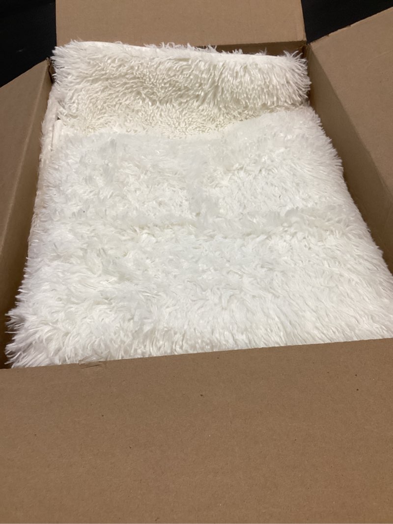 Condition photo showing Good Condition for Softlife Rug for Bedroom 4x5.3 Feet Area Rug for Living Room Soft Shaggy Rugs for Kids Room Fluffy Fuzzy Carpets Long Plush Bedside Rug Nursery Christmas Home Decoration for Boys Girls, Creamy White