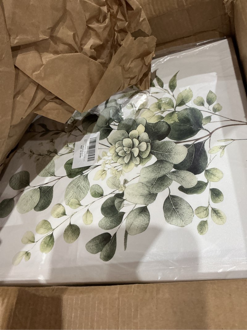 Condition photo showing Good Condition for meunear sage green eucalyptus wall art green leaf plant and floral on white canvas wall art nature botanical flower pictures for bedroom bathroom living room wall art decor,20l x 16w inches