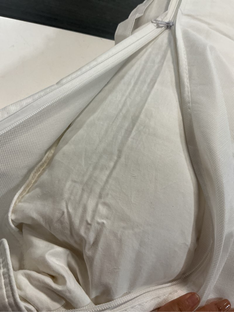 Condition photo showing As Is for luxe goose down pillow, king, medium