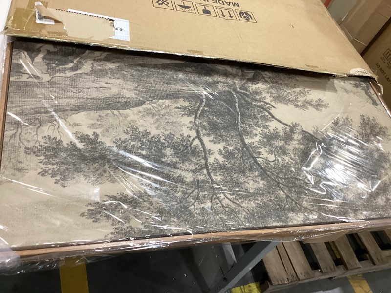 Condition photo showing Good Condition for insimsea extra large framed vintage wall art, rustic floral,40x20in | poppy farmhouse picture, canvas, long horizontal, bedroom above of bed fireplace living room a bed of poppies 40\"l x 20\"w