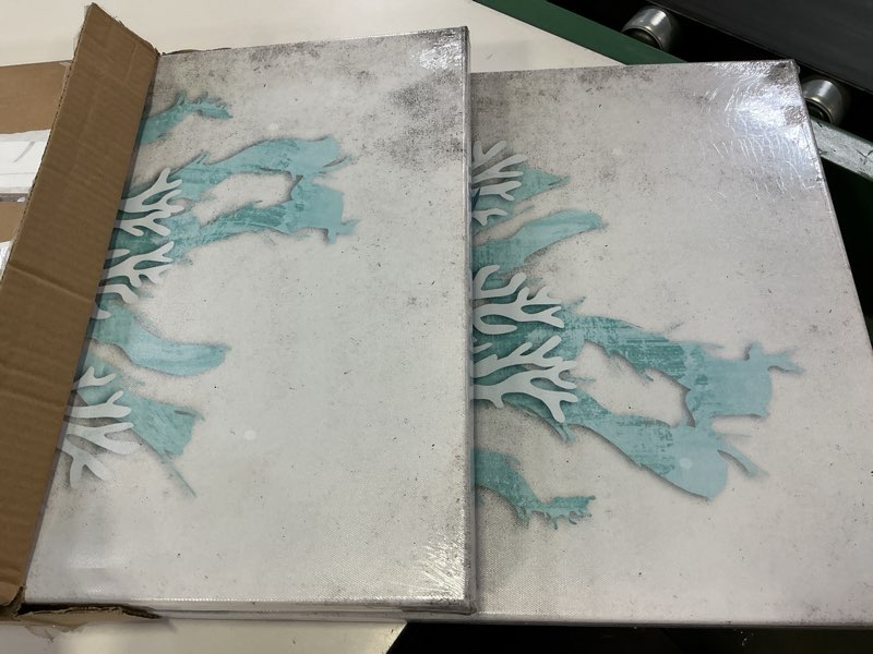 Condition photo showing New/Like New for ihappywall 2 pieces set ocean theme canvas wall art coastal shell starfish coral conch picture for bathroom kitchen office living room decor ready to hang 16x24inchx2pcs