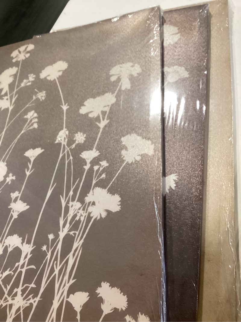 Condition photo showing Good Condition for flower multi color canvas