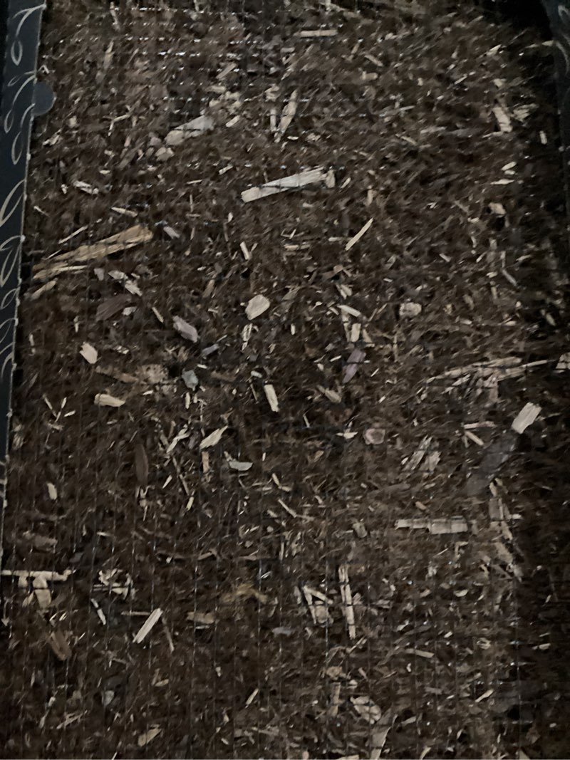 Condition photo showing New/Like New for Bark Potty Standard Dog Potty Training Box - Disposable, Long-Lasting Pee Pad Litter Replacement - Leak Resistant, Multi-Use, Odor Neutralizing, Indoor/Outdoor Toilet Tray Standard 24x16