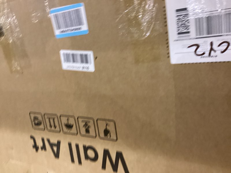 Framed Neutral Boho Floral Wall Art for Bedroom, Set of 2 Flower and Vase Beige Artwork for Walls, B