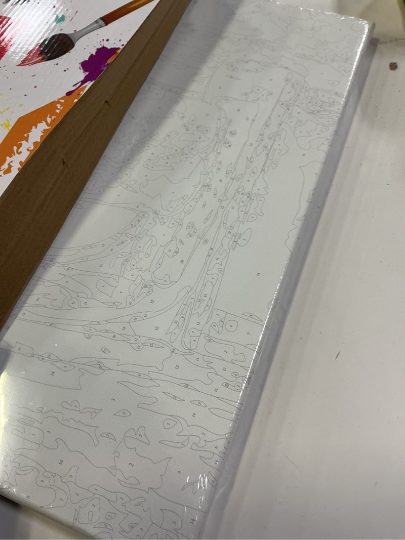 Condition photo showing New/Like New for BAISITE Paint by Numbers Kit for Adults Beginners,20" Lx16 W Canvas for Painting Kits for Adults in Colorful Box Daisy Vase-BSC003-Already Stretched on a Wooden Frame HXL-BSC003-3 Already Famed(20"X16")