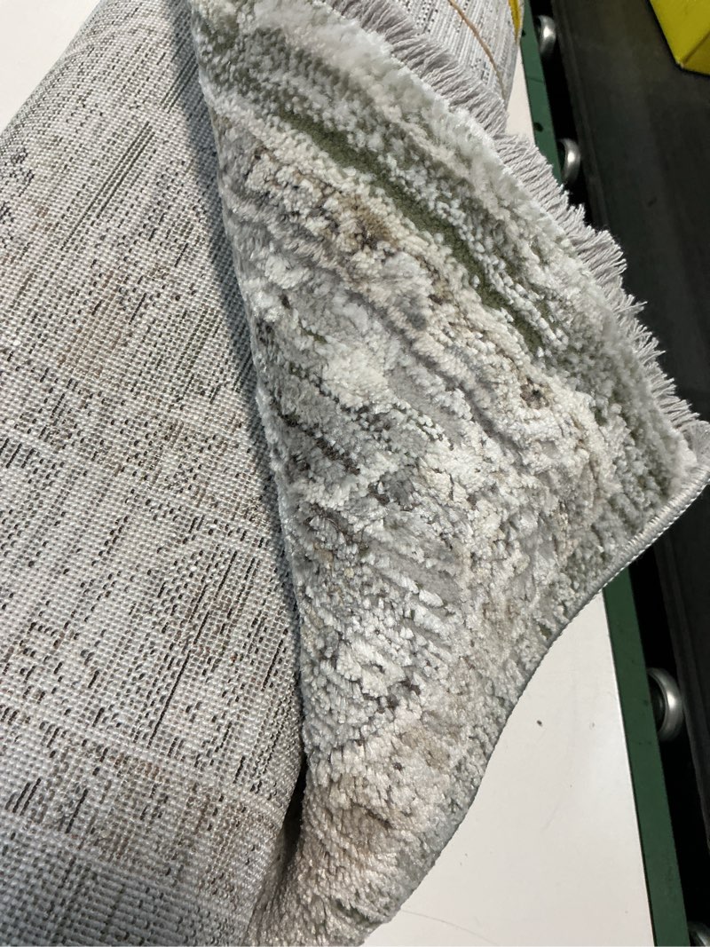 Condition photo showing Good Condition for 100+ bought last week allen + roth euphemia 2 x 8 (ft) loomed polyester/polypropylene green rectangular indoor