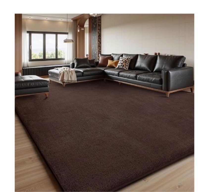 Sour Lemon 9x12 Area Rugs for Living Room, Soft Large Area Rug Fluffy Rugs for Bedroom?Machine Washable Area Rug Non Slip Carpet Rug for Living Room Playroom Kids Room Home Decor