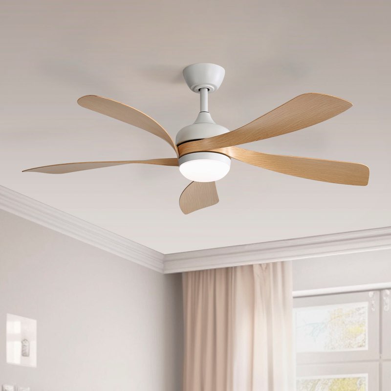 Damecia 52'' Ceiling Fan with LED Lights