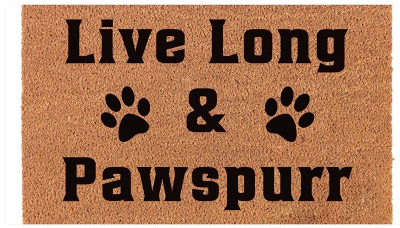 Funny Coir Doormat Live Long & Paws The Purr Welcome Front Porch Patio Decor for Entrance Way Heavy-Duty PVC Back Outdoor House Warming Novelty Gift Rug 23.6x15.7inch