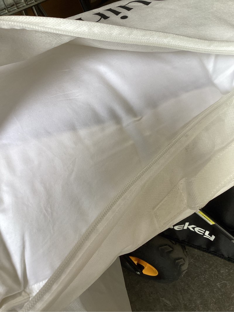 Condition photo showing New/Like New for quice luxe goose down pillow 