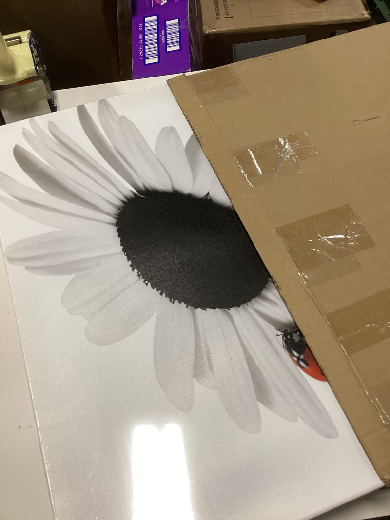 Condition photo showing Good Condition for Biuteawal - Sunflower Canvas Wall Art Prints Ladybird on Floral Picture Painting Black and White Wall Decor for Home Kitchen Bathroom Ready to Hang