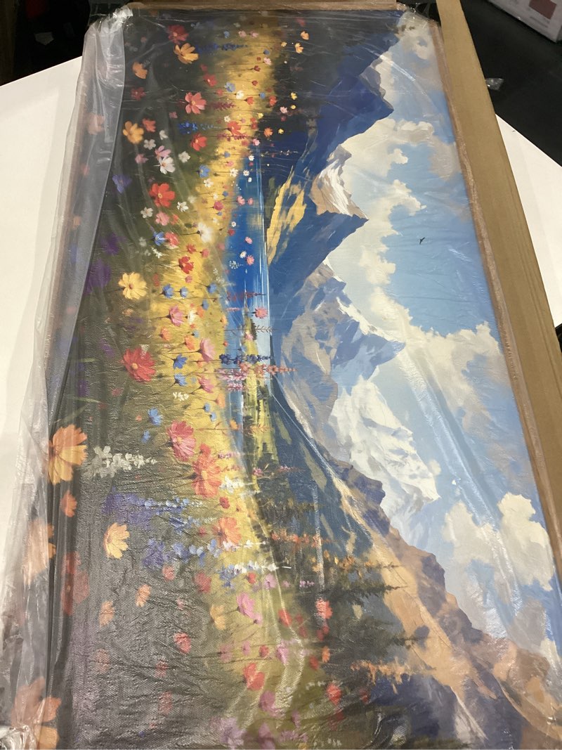 Condition photo showing New/Like New for **similar too** crmotu spring landscape wall art, snow mountain lake large artwork, colorful meadow wildflower canvas pictures, nature wilderness paintings wall decor living room bedroom kitchen farmhouse 20x40 inch 40\"l x 20\"w spring beauty