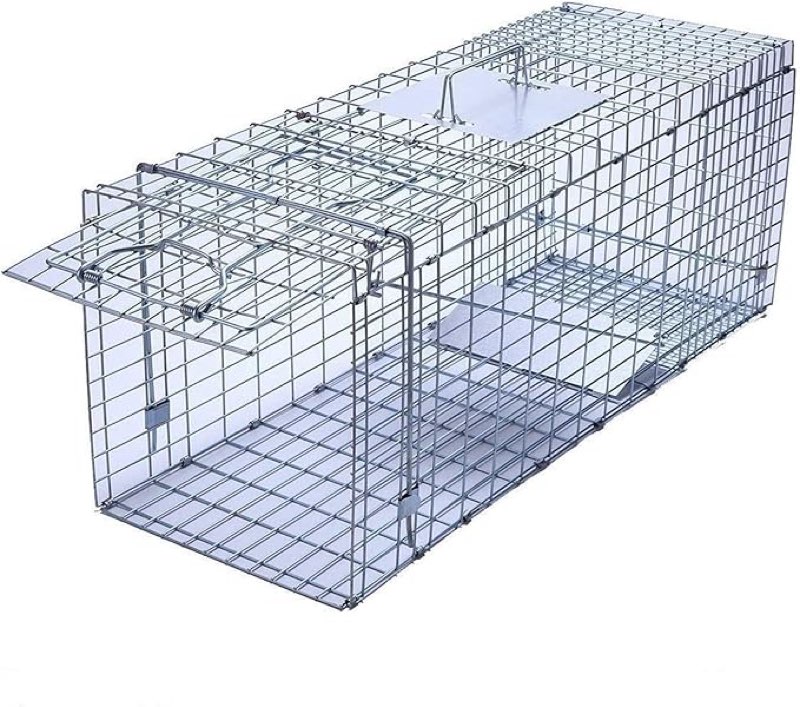 faicuk large collapsible humane live animal cage trap for raccoon, opossum, stray cat, rabbit, groundhog and armadillo 32 x 11 x 13 inch