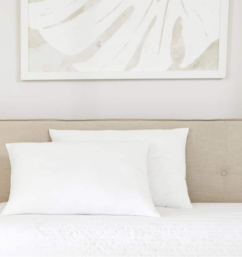 Home Collection 2-Pack Plush Bed Pillow Set, White