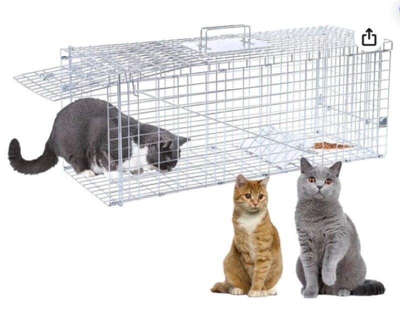 32” humane animal trap, live animal trap cage for stray cats, raccoons, squirrels, rabbits, moles, groundhogs, armadillos up to 16.5 lbs, galvanized rustproof live animal cage trap
