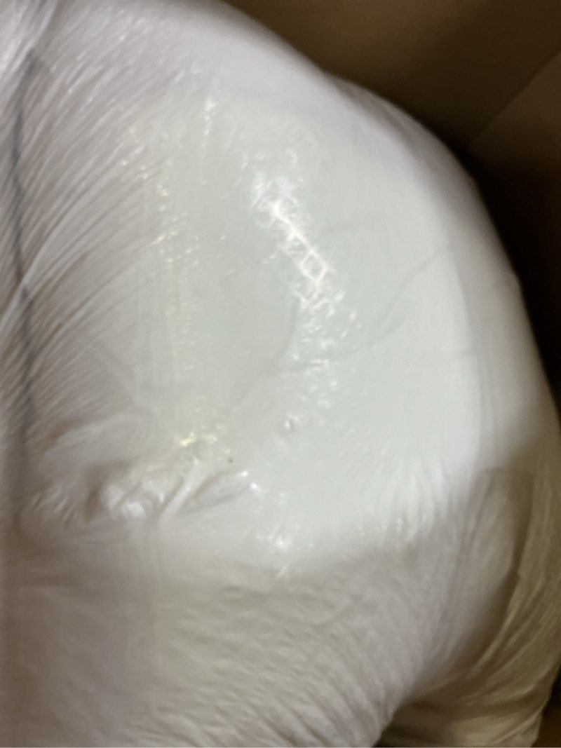 Condition photo showing Good Condition for Amazon Basics Down Alternative Pillows for Stomach and Back Sleepers, Soft Density, Standard, Pack of 2, White, 26 in L x 20 in W Standard (Pack of 2) Soft