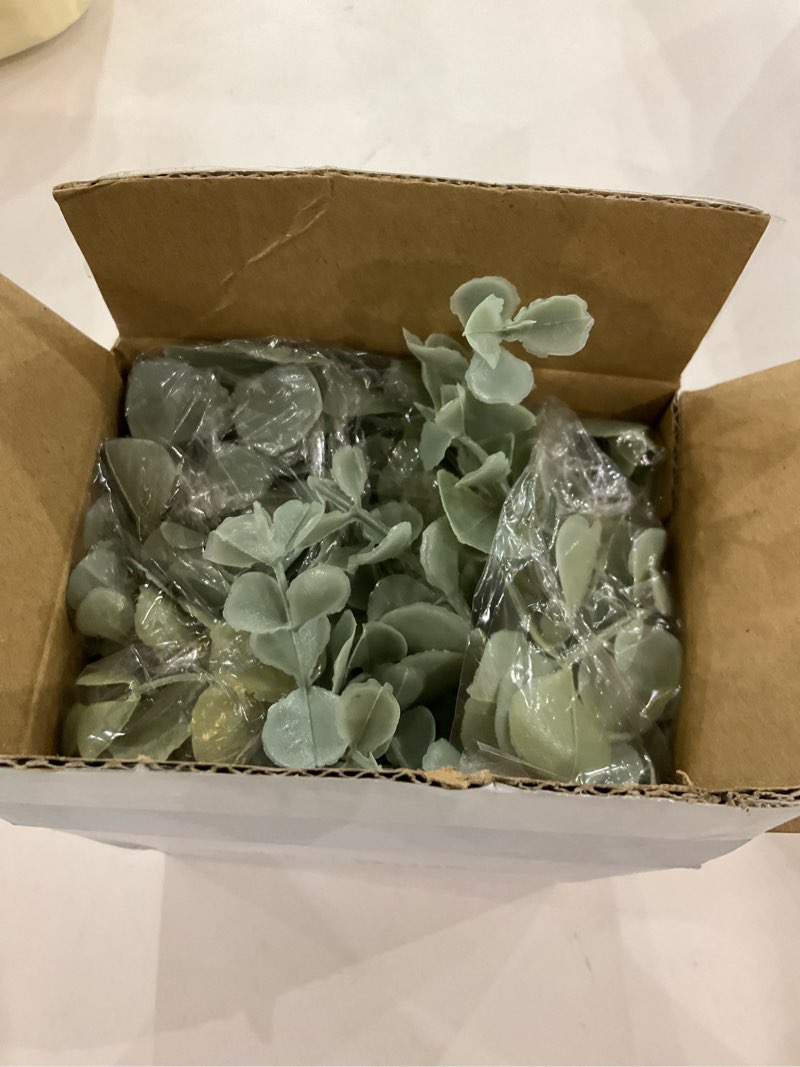 Der rose 1pack ke plants indoor