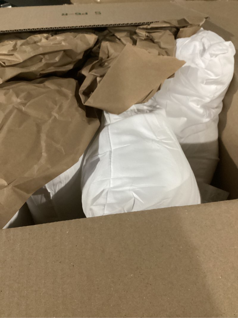 Condition photo showing Good Condition for EDOW Throw Pillow Inserts, Set of 4 Lightweight Down Alternative Polyester Pillow, Couch Cushion, Sham Stuffer, Machine Washable. (White, 22x22) 22"x22"