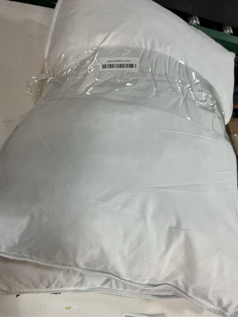 Condition photo showing As Is for snug&cozy grey goose feather down pillows for sleeping(2 pack)- standard size(20in×26in), goose feather&down filling,100% down proof, machine wash, white white standard (pack of 2)