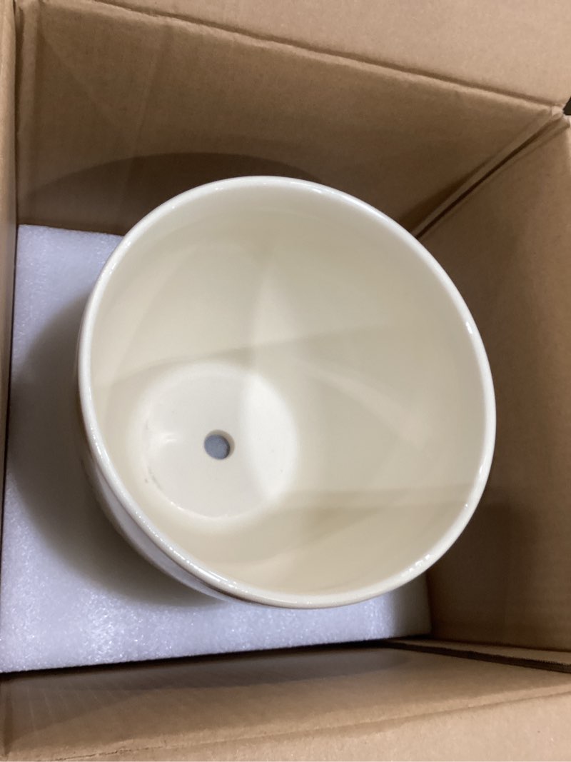 Condition photo showing New/Like New for MPotTo Ceramic Plant Pot 10 Inch - Ceramic Planter for Indoor Outdoor Plants, Decorative Boho Round Planter with Drainage Hole and Saucer, Housewarming Gifts, Office Garden Home Decor, White 10 Inch Flowers White