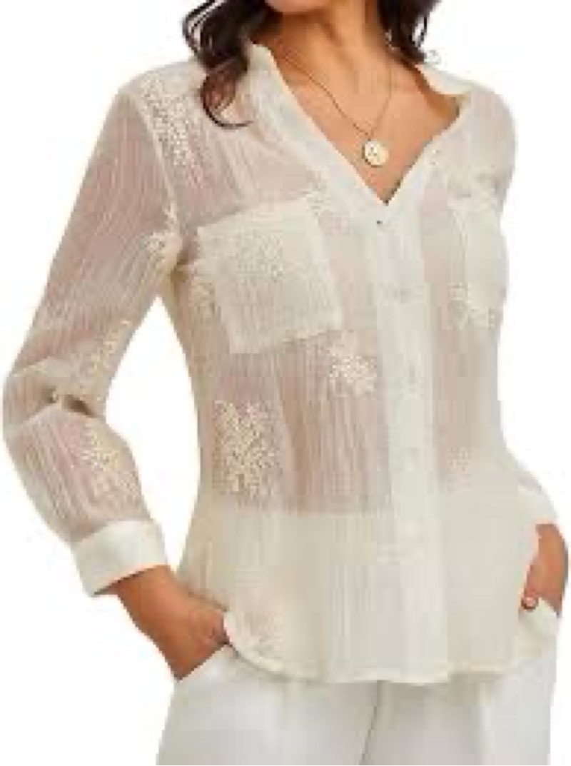 X004PK7WDZ Women's Long Sleeve Sheer Floral Embroidered Through Button Down Blouse Lightweight Boho Crew Neck Shirts (US, Alph Large, Regular, Regular, 1) Newitem