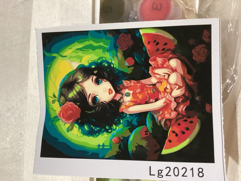 Paint by Number Little Girl in Red Dress DIY Painting On Canvas with Brushes Fruit, Green Watermelon