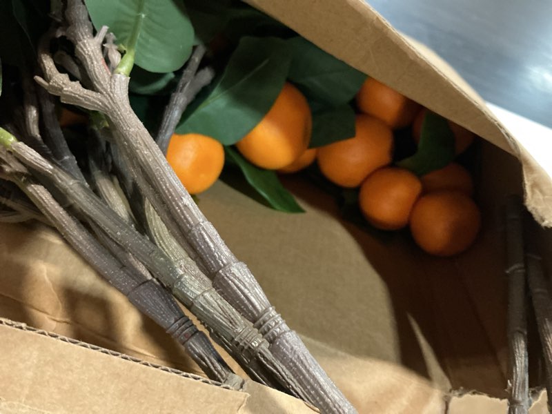 Condition photo showing Good Condition for daifunli 10 pcs artificial tangerine branches 25 inch realistic faux oranges fruit with green leaves simulation orange branch decorative kumquat tangerine for vase home party decoration (6 oranges) 10 6 oranges 25 inch