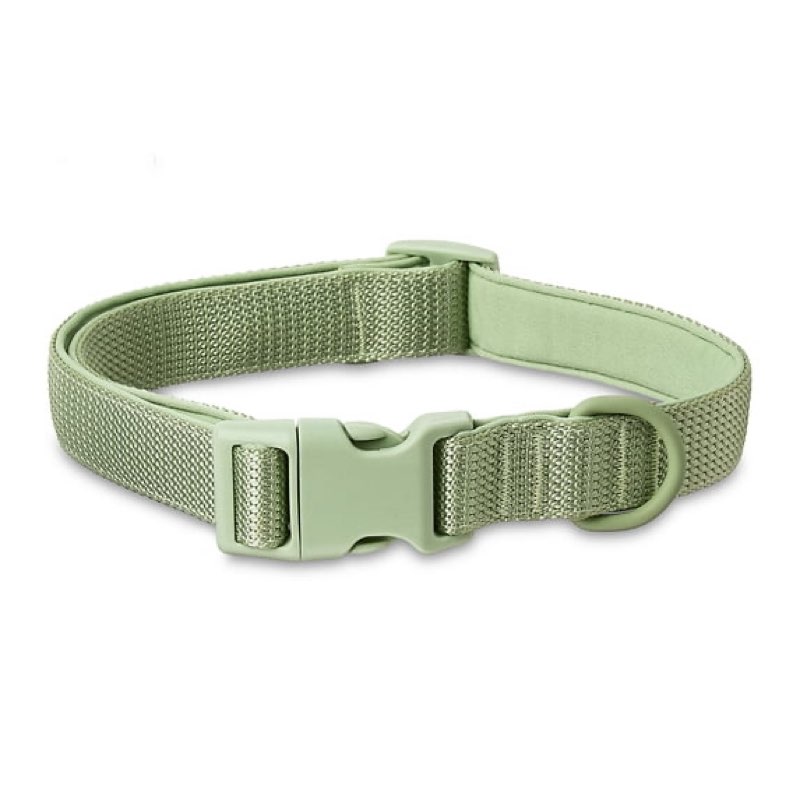 Vibrant Life Neoprene Cushioned Adjustable Dog Collar, Sage Green, Medium