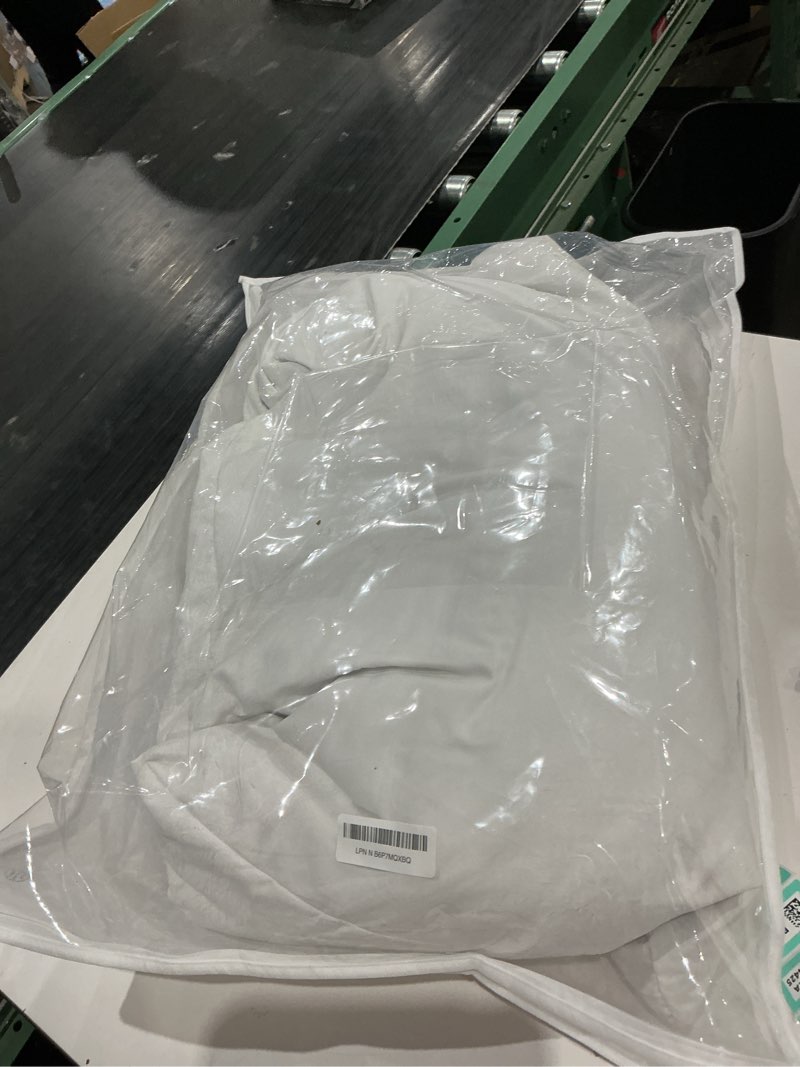 Condition photo showing Good Condition for thin flat soft goose frather down bed pillows for sleeping hypoallergenic queen size set of 1 pack side back and stomach sleepers 1 queen (u.s. standard)