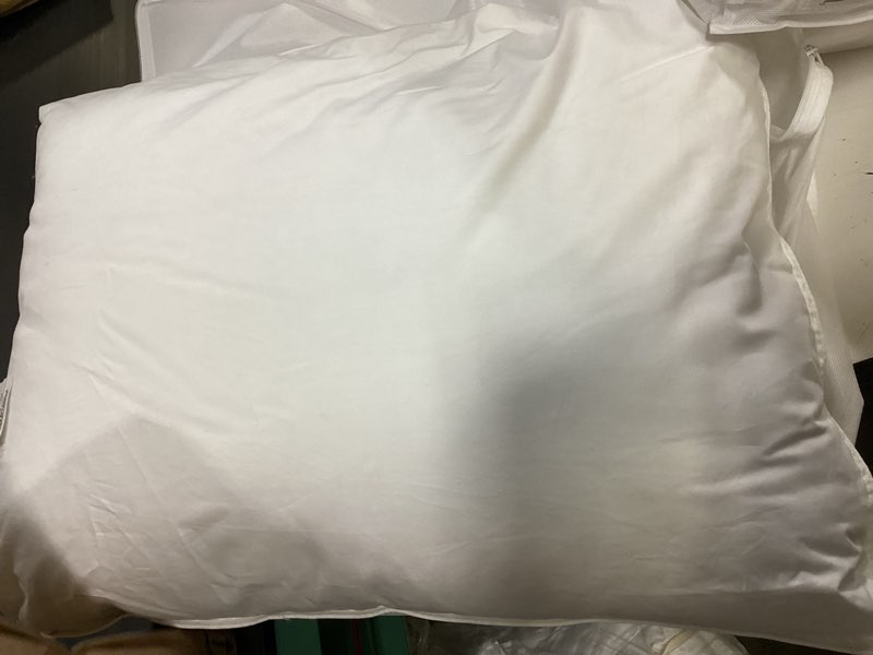Condition photo showing Good Condition for quince premium down pillow standard soft 