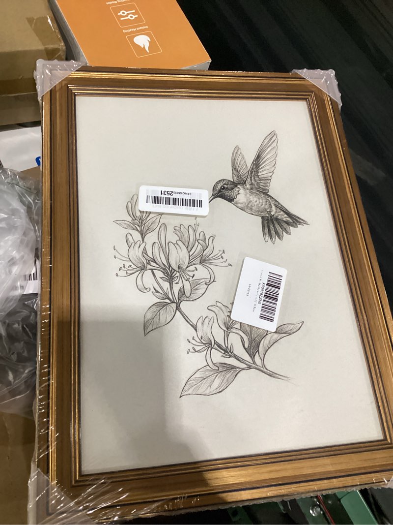 Condition photo showing New/Like New for viyyiea vintage gold framed wall art for living room, bird & flower canvas prints home decor, sketch painting picture, bedroom wall decor gifts for friends or family -?wings and blooms?-(16l x 12w) ?wings and blooms? 16"l x 12"w