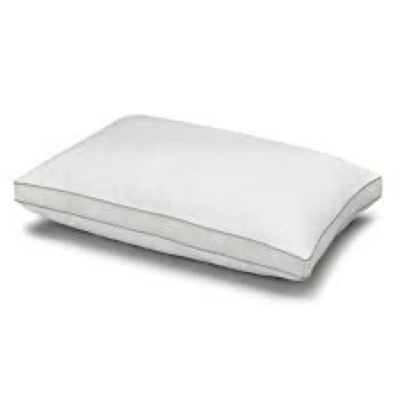 (2 pcs)Jayne Ella Jayne Cotton Mesh Gusseted Shell Down Alternative Medium Density Pillow