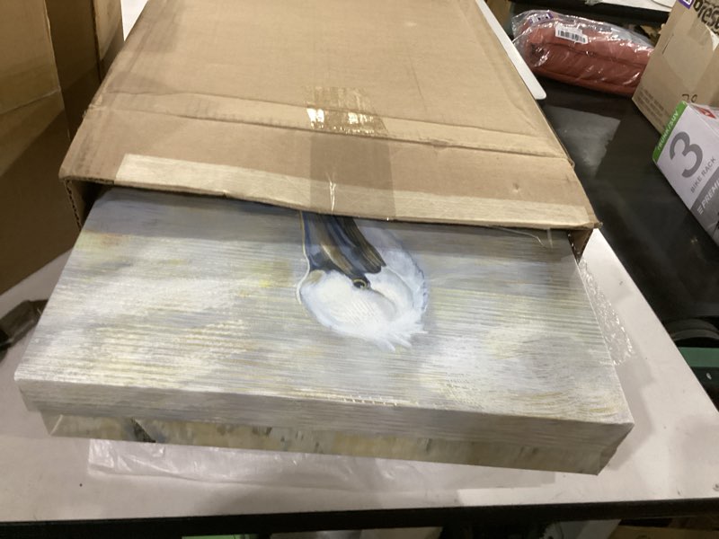 Condition photo showing Good Condition for stupell industries 'sea birds abstract beach', 2pc canvas art set 2, 16 x 20 inches, easy to hang and sturdy, made in usa, by paul brent