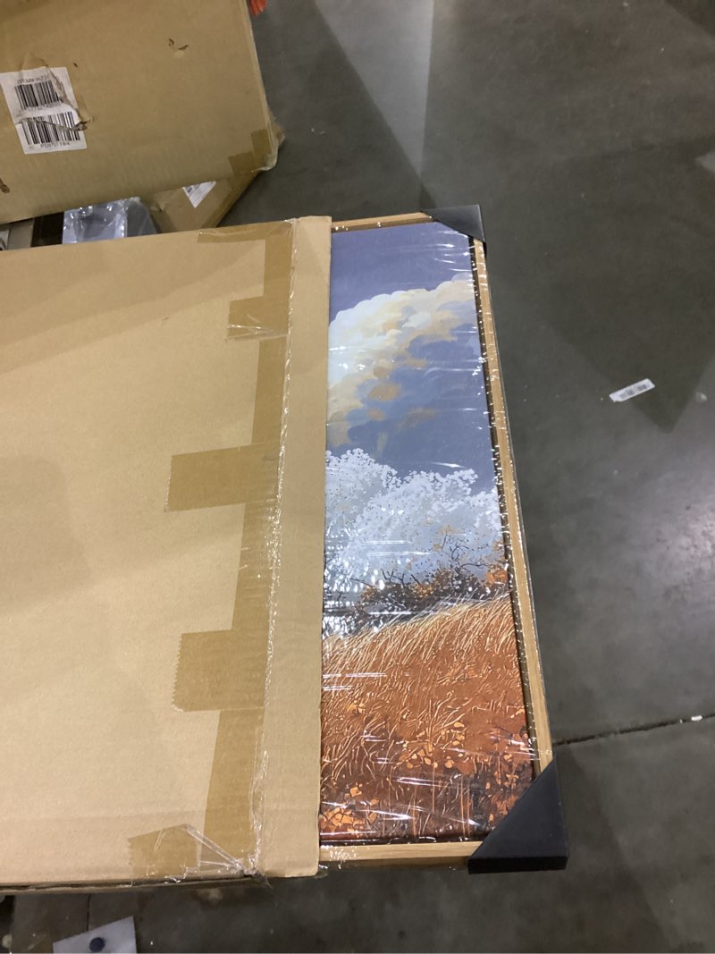 Condition photo showing New/Like New for QZQCBLC Farmhouse Wall Art, White Clouds Orange Trees Landscape Pictures Rustic Cabin Painting Framed Artwork for Living room Bedroom Bathroom Home Office Decor 20x40 IN 40"L x 20"W Orange and White
