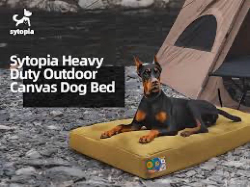 Sytopia 42-Inch Canvas Indestructible Outdoor Dog Bed, Washable & Waterproof with Chew-Resistant Removable Cover, Ideal for Extra Large Dogs for Indoor, Outdoor, Crate, or Patio Use (Green) X-Large Green