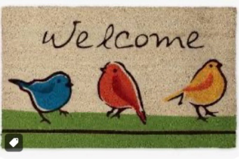 Outdoor Decorative Animals Door Mat, Birds