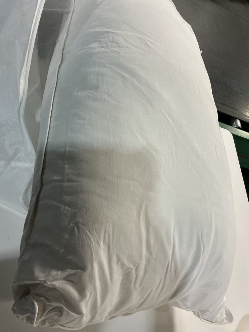 Condition photo showing As Is for luxe goose down pillow, king, medium