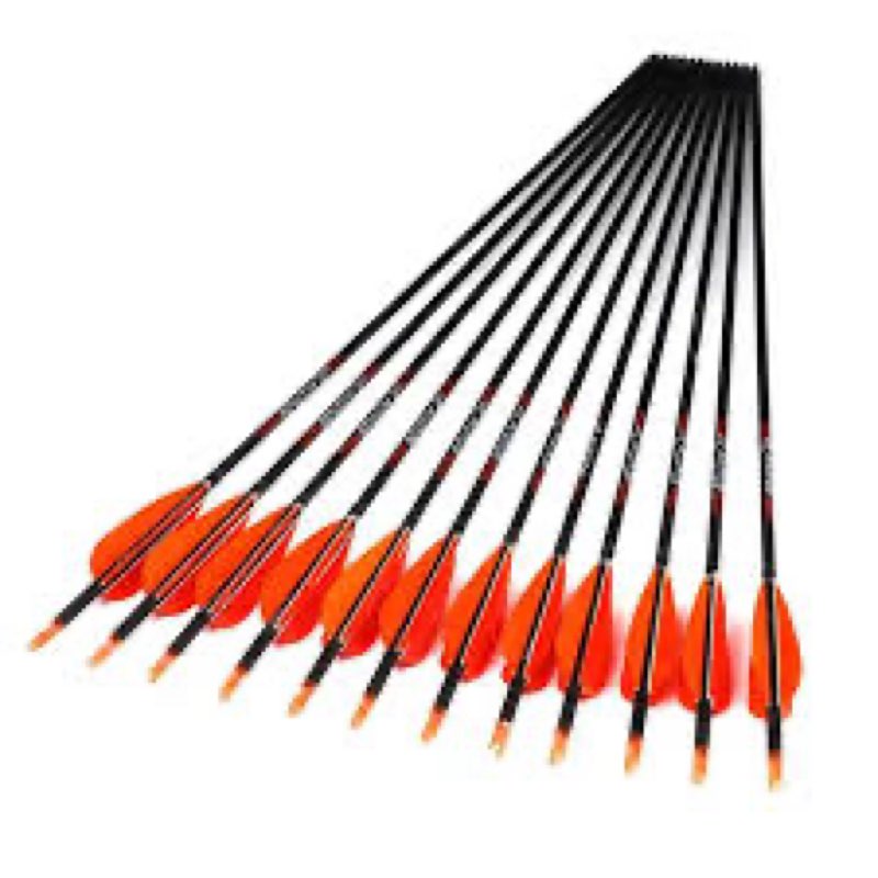 LWANO Carbon Arrow Archery 30inch Hunting Target Practice Arrows for Compound & Recurve Bow Spine 500 with Removable Tips (Pack of 12) Blue 31Inch
