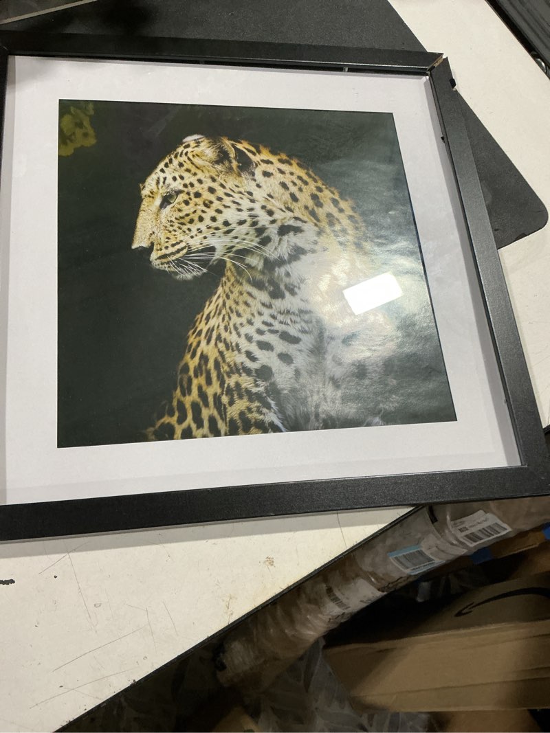 Condition photo showing As Is for americanflat 15x15 picture frame with shatter-resistant glass - use as 12x12 frame with mat or display 15x15 photo without mat - signature collection - square frames for wall display - black black 15x15