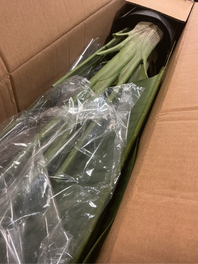 Condition photo showing Good Condition for lifelike bird of paradise artificial plant,6ft faux banana leaf tree with 13 trunks - perfect indoor silk floor plant for home decor in living room, office, and bedroom 1pack 1 6ft
