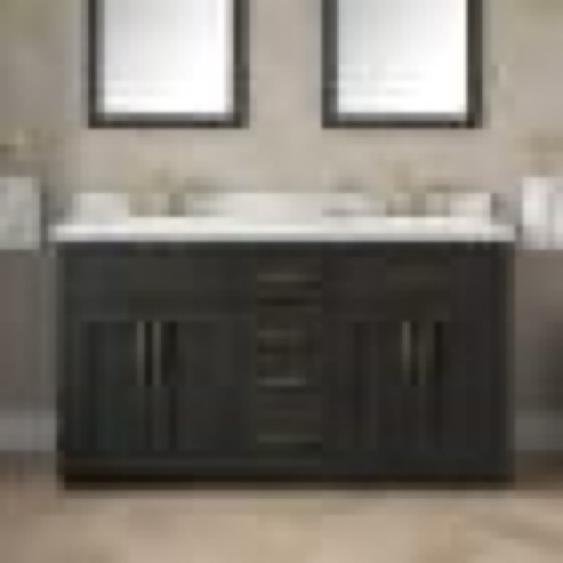 Bailey 60" Free Standing Double Basin Vanity Set with Cabinet and Quartz Vanity Top